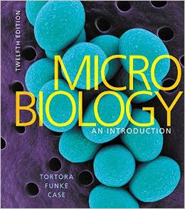 clinical laboratory microbiology a practical approach