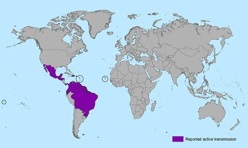 Epidemiology of Zika Virus