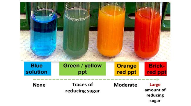 the test for glucose