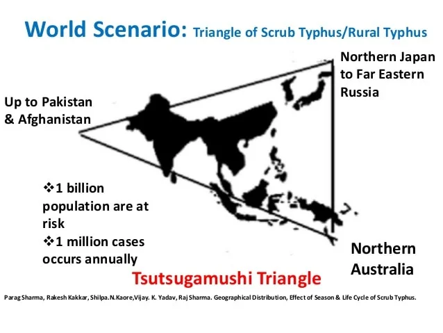 Epidemiology of Scrub Typhus
