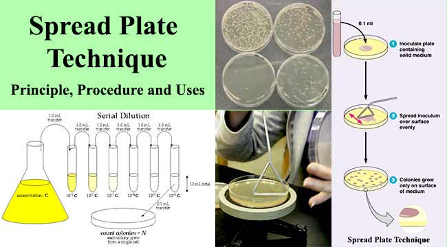 Hot Plate- Principle, Parts, Procedure, Types, Uses, Examples