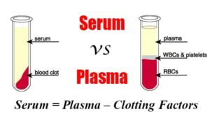 Difference between Serum and Plasma