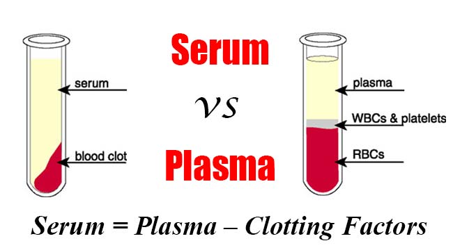 Difference between Serum and Plasma
