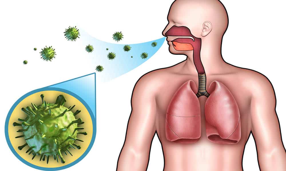 What Are The Most Common Diseases Of The Respiratory System