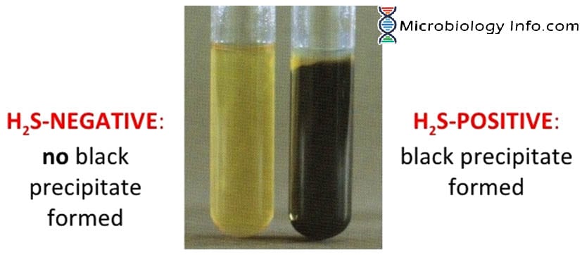 Hydrogensulfidtest