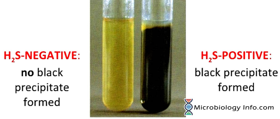 Sulphur Reduction Test